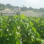 Le Savoir Vivre Bed and Breakfast *