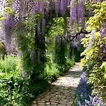 Bed & Breakfast Le Savoir Vivre Bonnes (Charente)