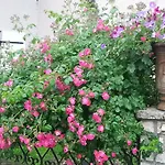 Bed and Breakfast Le Savoir Vivre *
