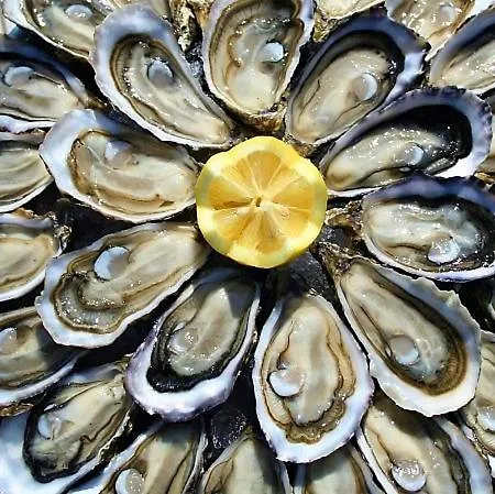 Le Savoir Vivre Frühstückspension Bonnes (Charente)
