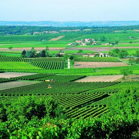 Bed and Breakfast Le Savoir Vivre