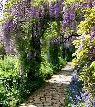 Frühstückspension Le Savoir Vivre Bonnes (Charente)