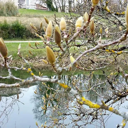 Bed & Breakfast Le Savoir Vivre Bonnes (Charente)