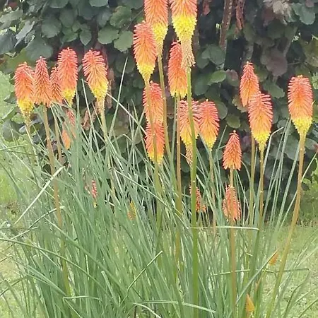 Le Savoir Vivre B&B *