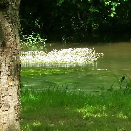 Le Savoir Vivre Bonnes (Charente)