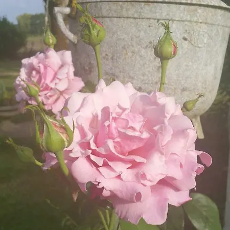 Bed and Breakfast Le Savoir Vivre Bonnes (Charente)