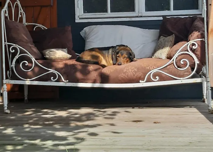 Le Savoir Vivre Bed & Breakfast *