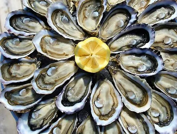 Le Savoir Vivre Bed & Breakfast Bonnes (Charente)