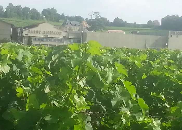 Le Savoir Vivre Bed & Breakfast *