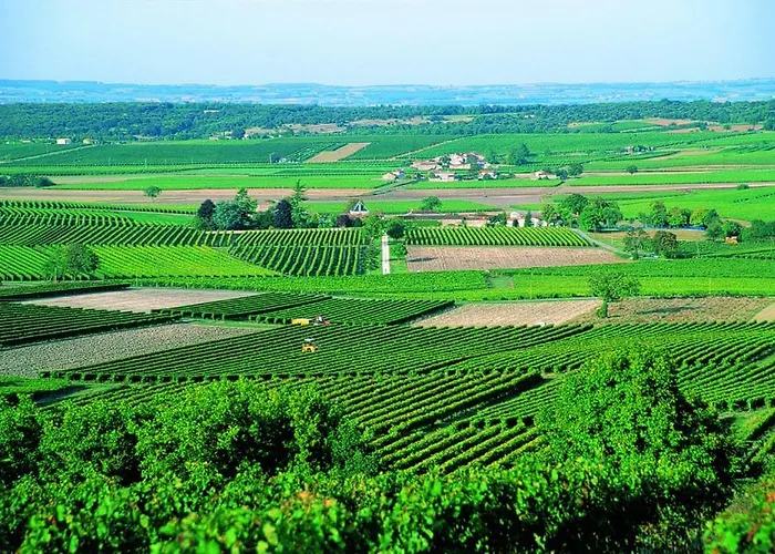 Bed & Breakfast Le Savoir Vivre