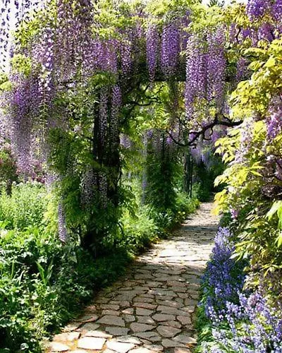 Bed & Breakfast Le Savoir Vivre Bonnes (Charente)