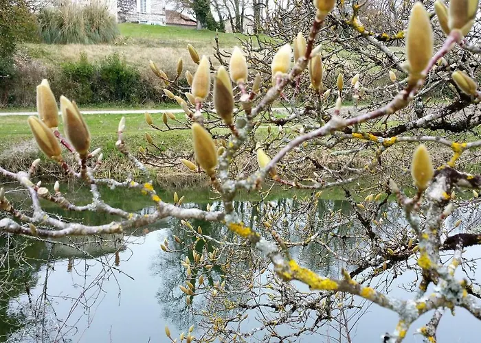 Bed & Breakfast Le Savoir Vivre Bonnes (Charente)