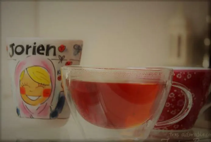 Bed & Breakfast Le Savoir Vivre Bonnes (Charente)