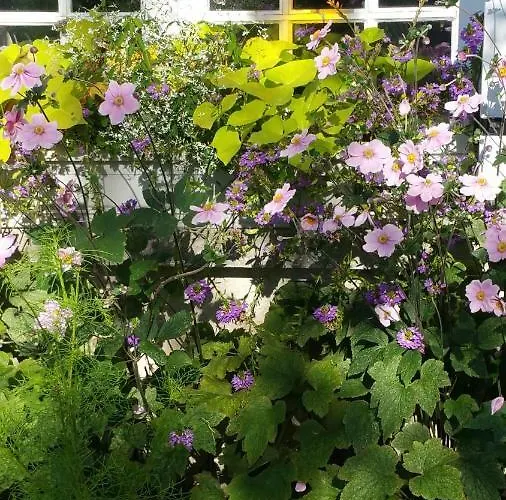 Le Savoir Vivre Bed & Breakfast