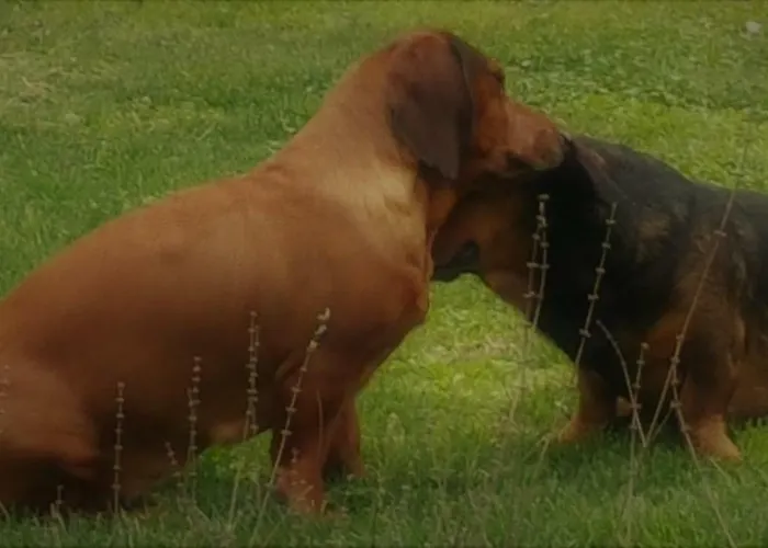 Bed & Breakfast Le Savoir Vivre *