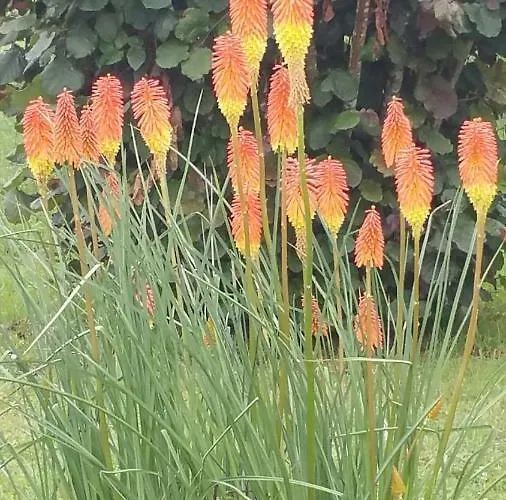 Le Savoir Vivre Bed & Breakfast *