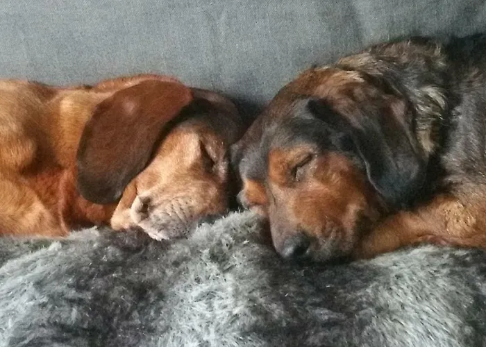 Le Savoir Vivre Bed & Breakfast