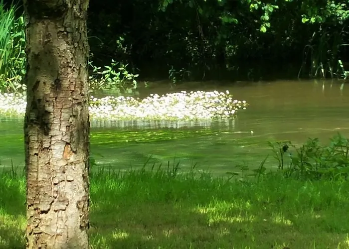 Le Savoir Vivre Bonnes (Charente)