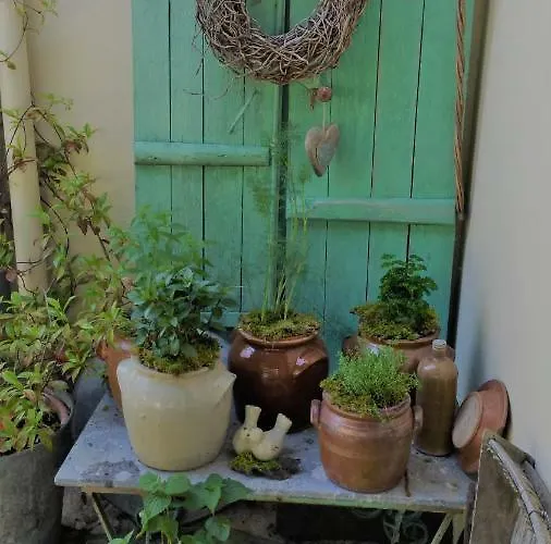 Bed & Breakfast Le Savoir Vivre *