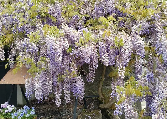 Le Savoir Vivre Bed & Breakfast